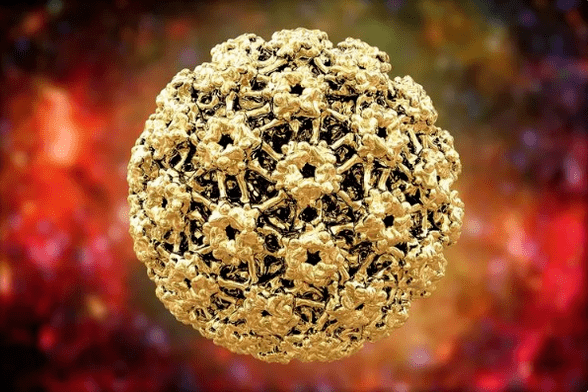 Virus do papiloma humano