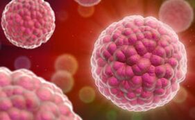 Síntomas e tratamento do virus do papiloma humano